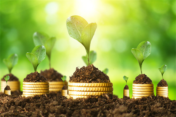 精选干货：一进二的选股和买卖